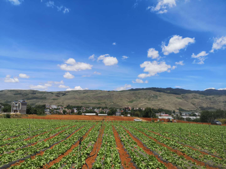 1741569457354328.png d6.png